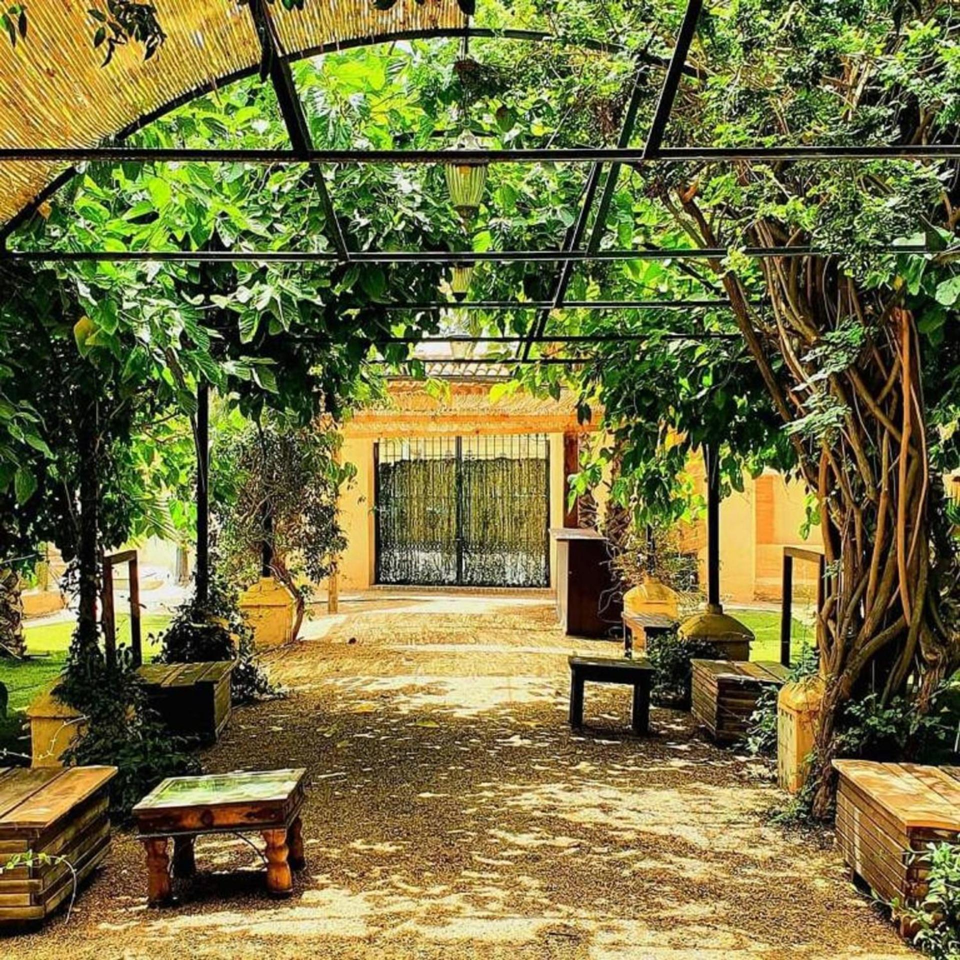 La Antonita Cartagena
